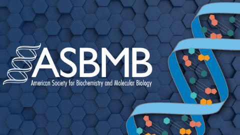 ASBMB releases DEAI statement
