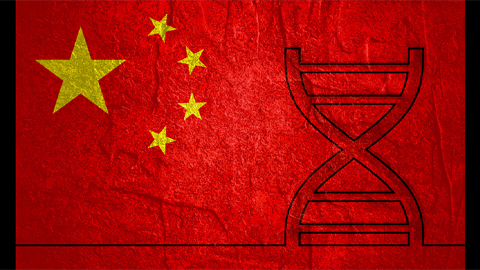 China now publishes more high-quality science than any other nation