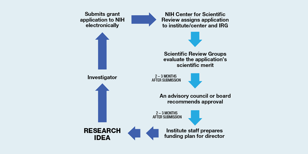 Navigating the NIH grantapplication process