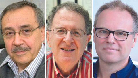 Vallee visiting professors named