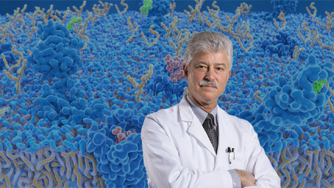 Fliesler wins scientific and ethical awards