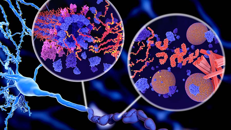 Catching tau in the act