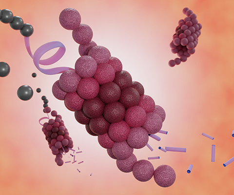 Ubiquitin (green)-conjugated proteins (purple) are degraded by the proteasome (red).