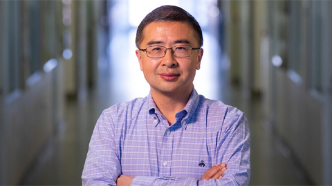 Chemists build synthetic catalysts to break down biomass like super enzymes