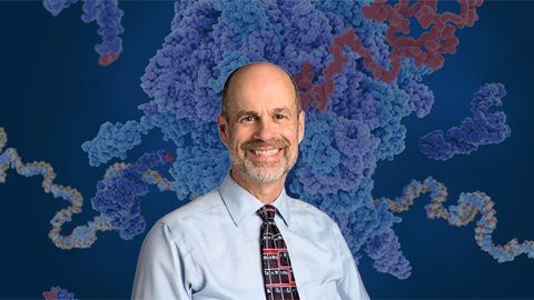 The BASIL blueprint for biochem labs