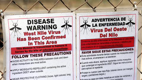 Climate change may push the US toward the ‘Goldilocks zone’ for West Nile virus
