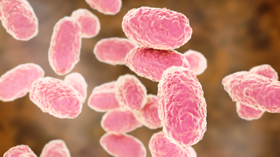 Targeting toxins to treat whooping cough