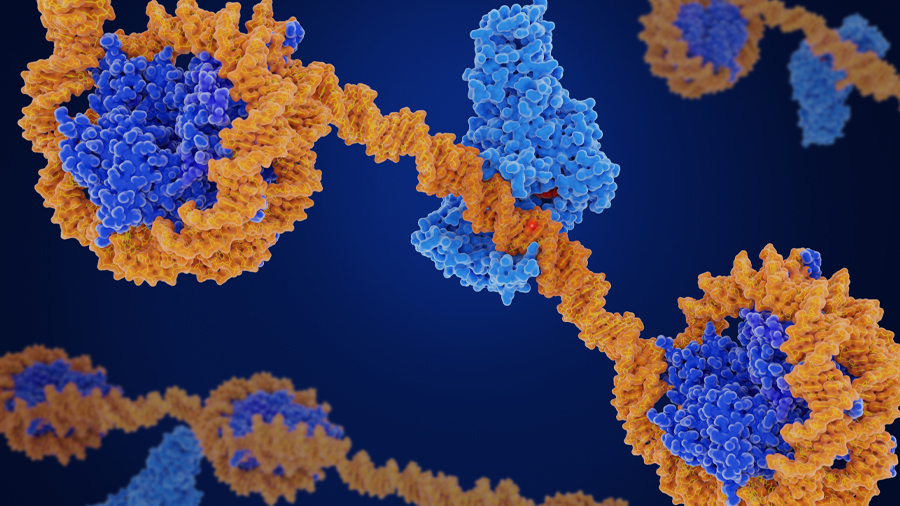 CRISPR epigenome editor offers potential gene therapies