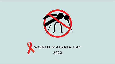 World Malaria Day