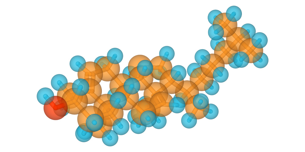 All about cholesterol