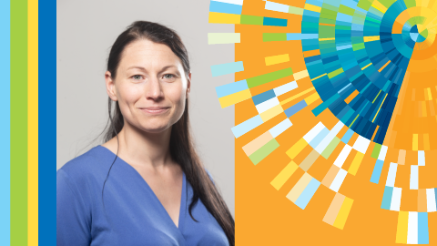 Focusing on a field, then diversifying skills
