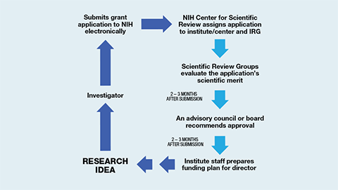 Navigating the NIH grant-application process