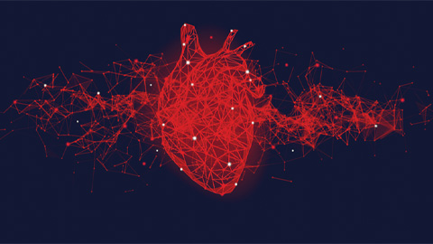 Lipoprotein(a): Silent killer or crystal ball?