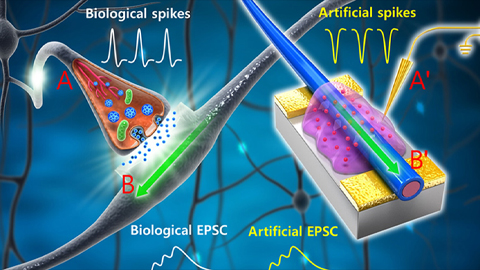Making computer chips act more like brain cells