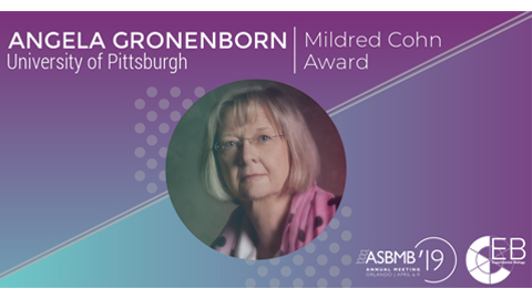 Gronenborn honored for advances in NMR spectroscopy