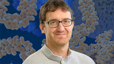 Truttmann recognized for cell stress research