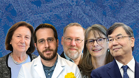 Biochemists and molecular biologists sweep major 2025 honors