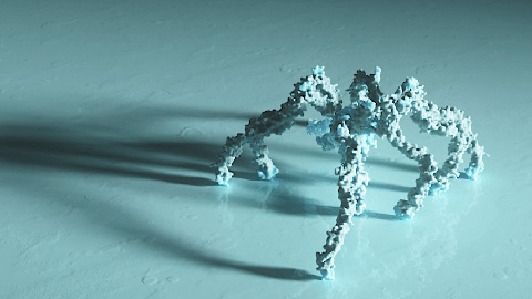 Spider-like proteins spin defenses to control immunity